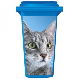 Tabby Grey Cat Wheelie Bin Sticker Panel